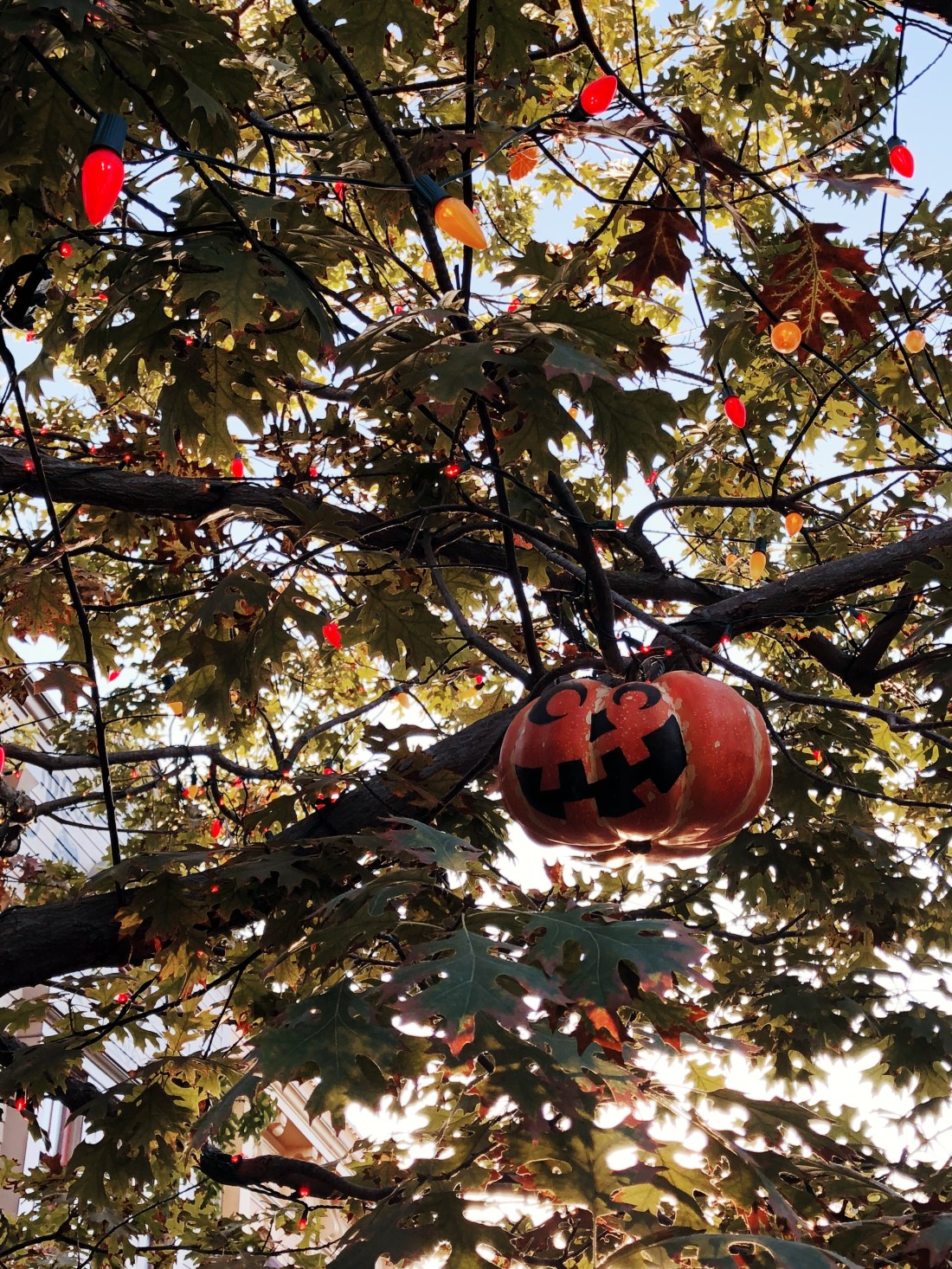 Processed with VSCO with l7 preset